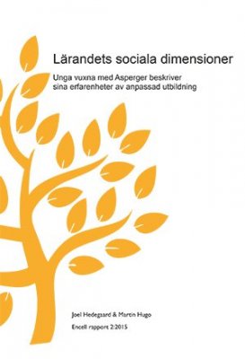 Rapport: lärandets sociala dimensioner