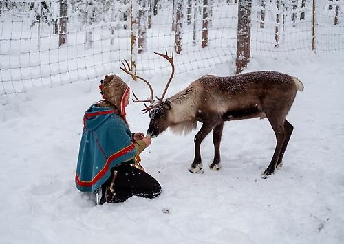 Samisk flicka med en ren