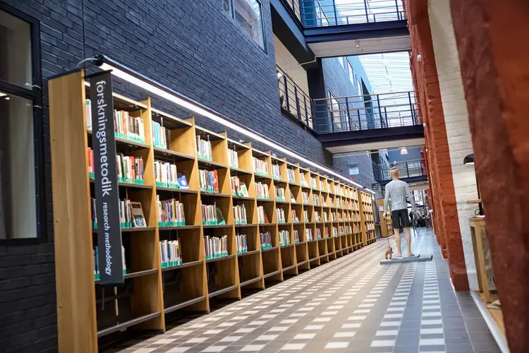 Bokhyllor som innehåller forskningsmetodik. Väggen bakom är blå ocj golvet framför är rutigt i grått och vitt. Det syns en staty av en pojke längre fram.