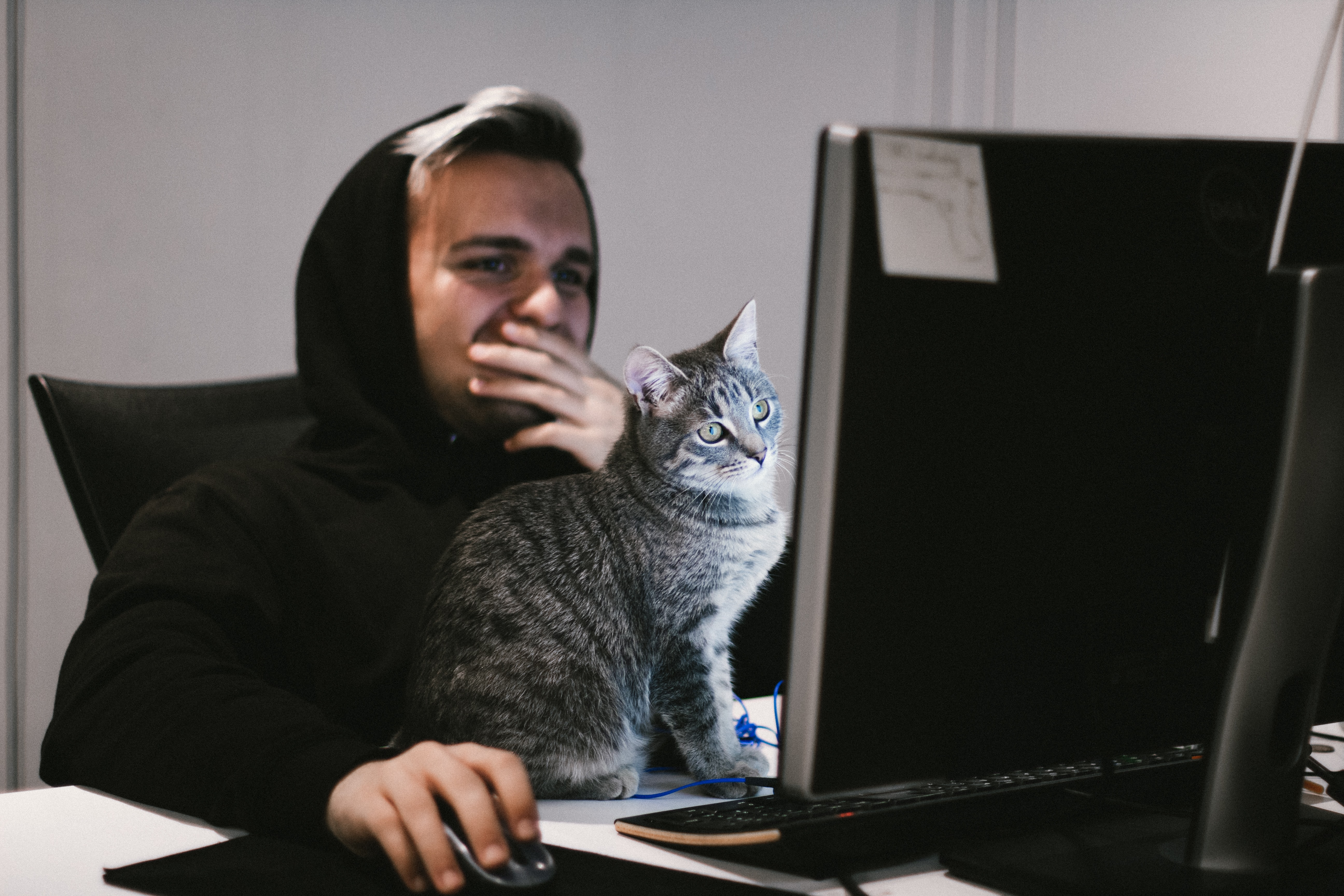 Man som sitter framför en laptop med en katt mellan sig och laptopen. 